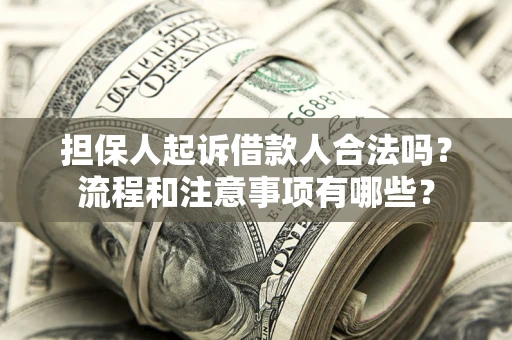 武汉担保人起诉借款人合法吗？流程和注意事项有哪些？