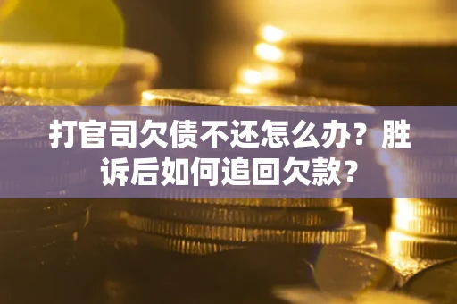 武汉打官司欠债不还怎么办？胜诉后如何追回欠款？