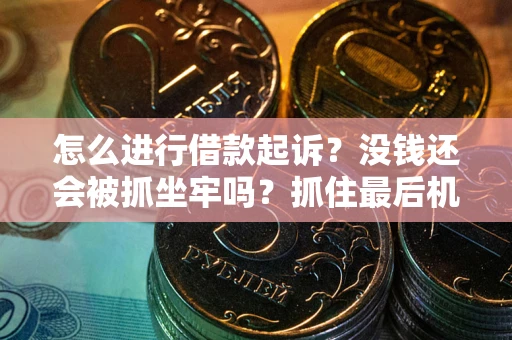 武汉怎么进行借款起诉？没钱还会被抓坐牢吗？抓住最后机会！