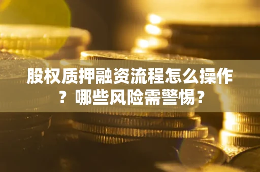 武汉股权质押融资流程怎么操作？哪些风险需警惕？