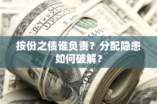武汉按份之债谁负责？分配隐患如何破解？