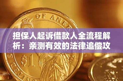 武汉担保人起诉借款人全流程解析：亲测有效的法律追偿攻略