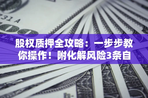 武汉股权质押全攻略：一步步教你操作！附化解风险3条自救法则