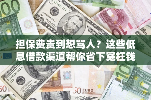 武汉担保费贵到想骂人？这些低息借款渠道帮你省下冤枉钱