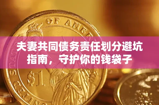 武汉夫妻共同债务责任划分避坑指南，守护你的钱袋子