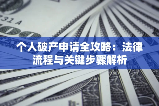 武汉个人破产申请全攻略：法律流程与关键步骤解析